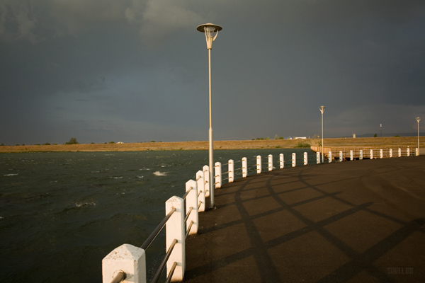 335 :: Evening light before rain